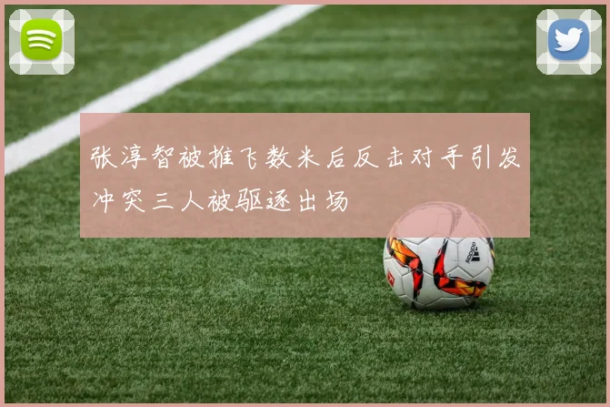 张淳智被推飞数米后反击对手引发冲突三人被驱逐出场