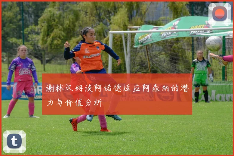 谢林汉姆谈阿诺德适应阿森纳的潜力与价值分析
